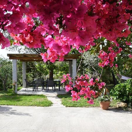 Bent'E Mari Bed & Breakfast Girasole Exterior photo